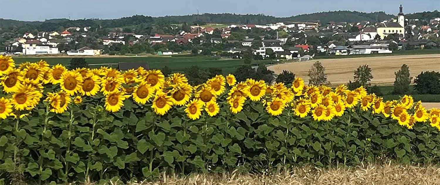 Karlstetten-Sankt-Poelten